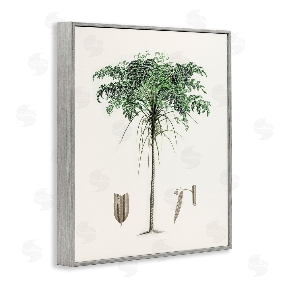 Val Rhodes Vintage Palm Leaves Gray Framed Giclee Wall Art Print