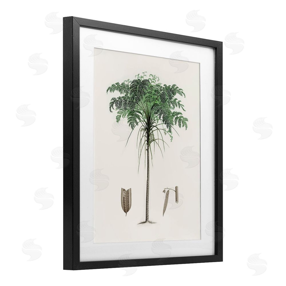Val Rhodes Vintage Palm Leaves Black Framed Print Under Glass Wall Art