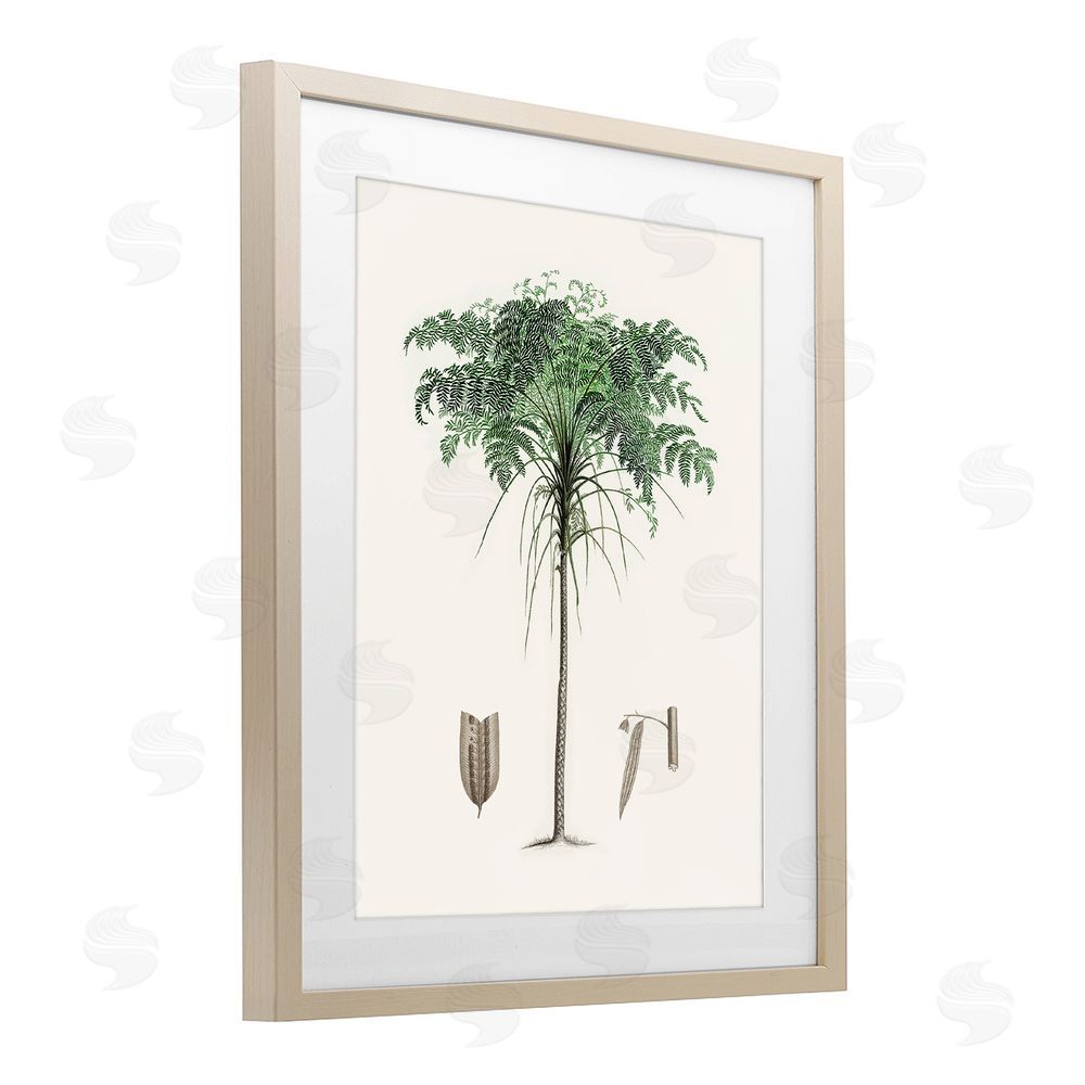 Val Rhodes Vintage Palm Leaves Birch Framed Print Under Glass Wall Art