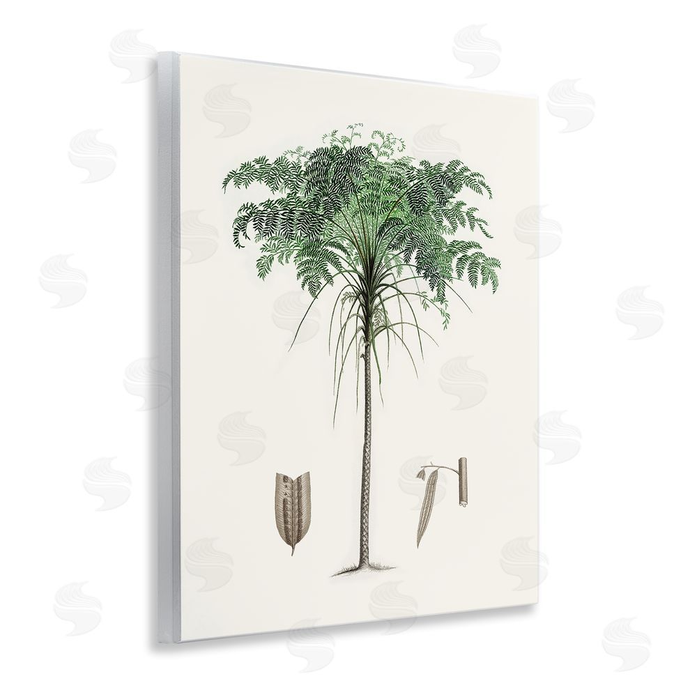 Val Rhodes Vintage Palm Leaves Wall Plaque Art Print