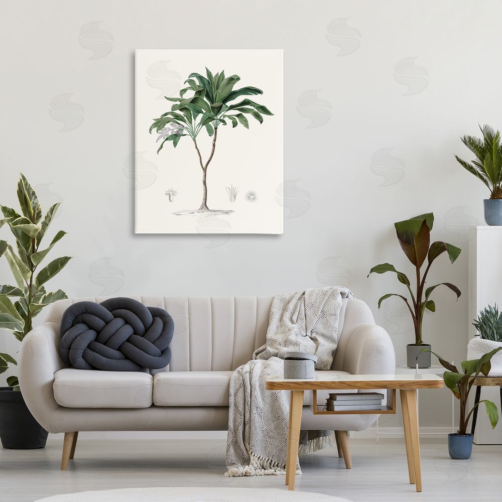 Val Rhodes Coastal Palms Vintage Stretched Canvas Wall Art in Room