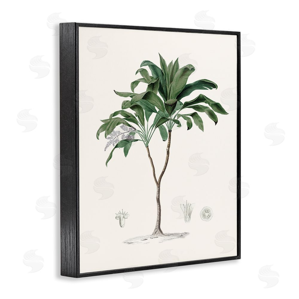Val Rhodes Coastal Palms Vintage Black Framed Giclee Wall Art Print