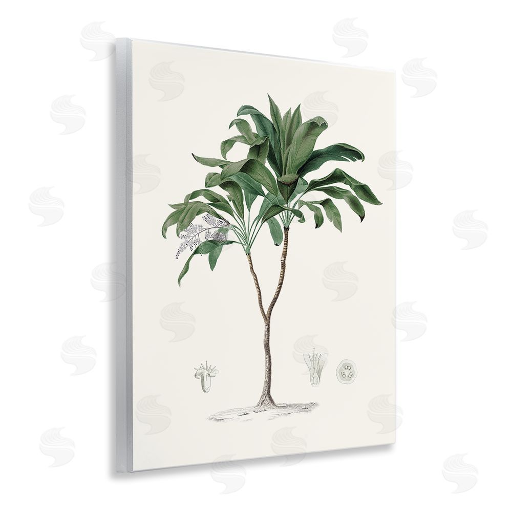 Val Rhodes Coastal Palms Vintage Wall Plaque Art Print