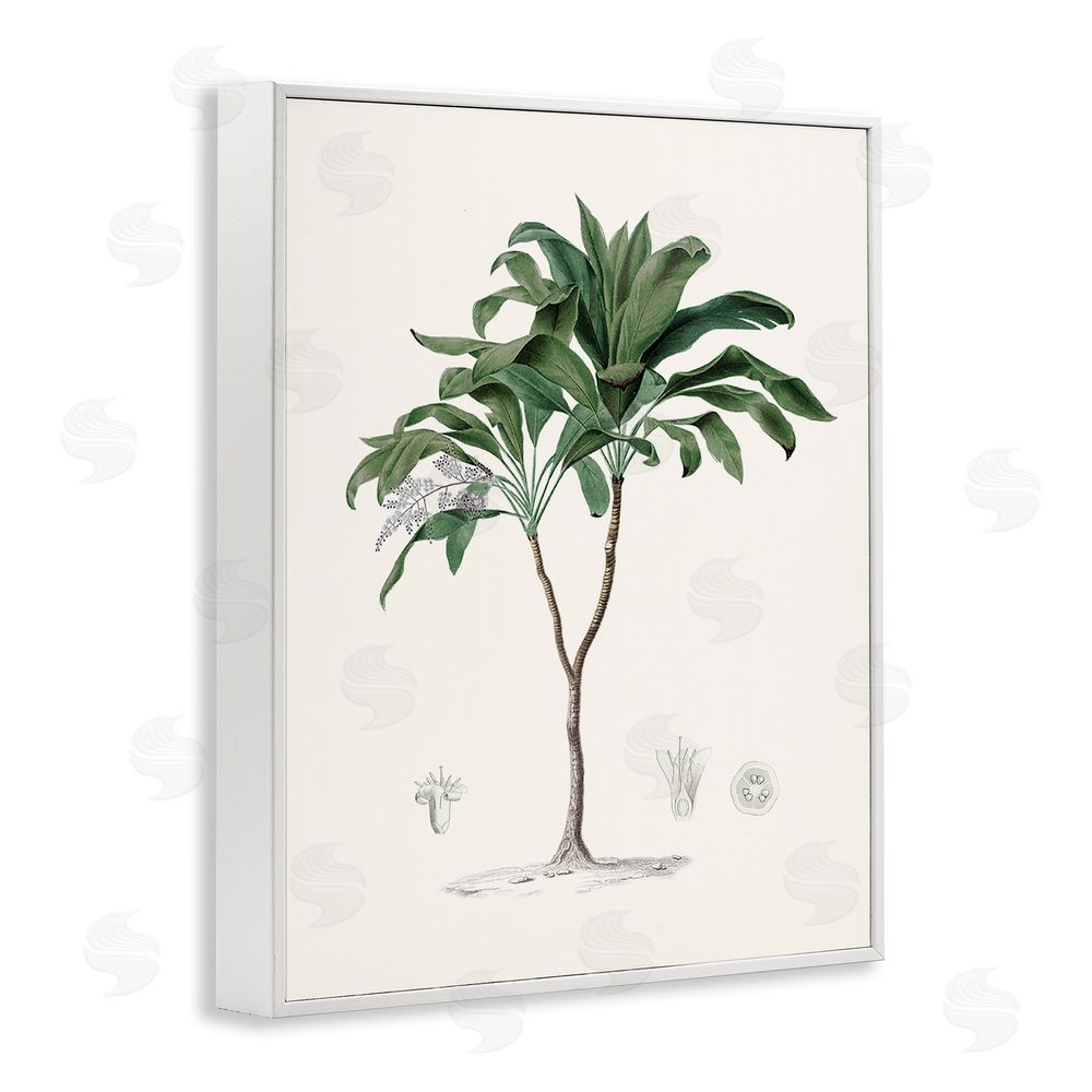 Val Rhodes Coastal Palms Vintage White Framed Giclee Wall Art Print