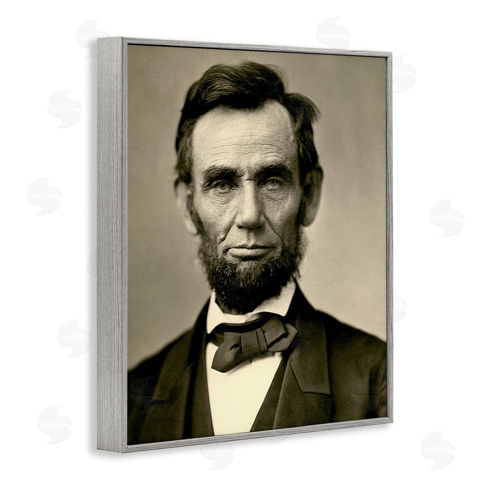 Alexander Gardner Iconic Lincoln Portrait Gray Framed Giclee Wall Art Print