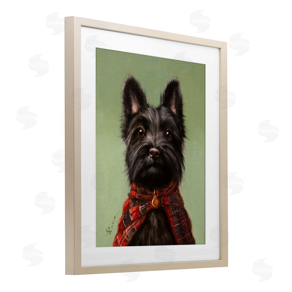 Lucia Heffernan The Scot Scottish Terrier Birch Framed Print Under Glass Wall Art