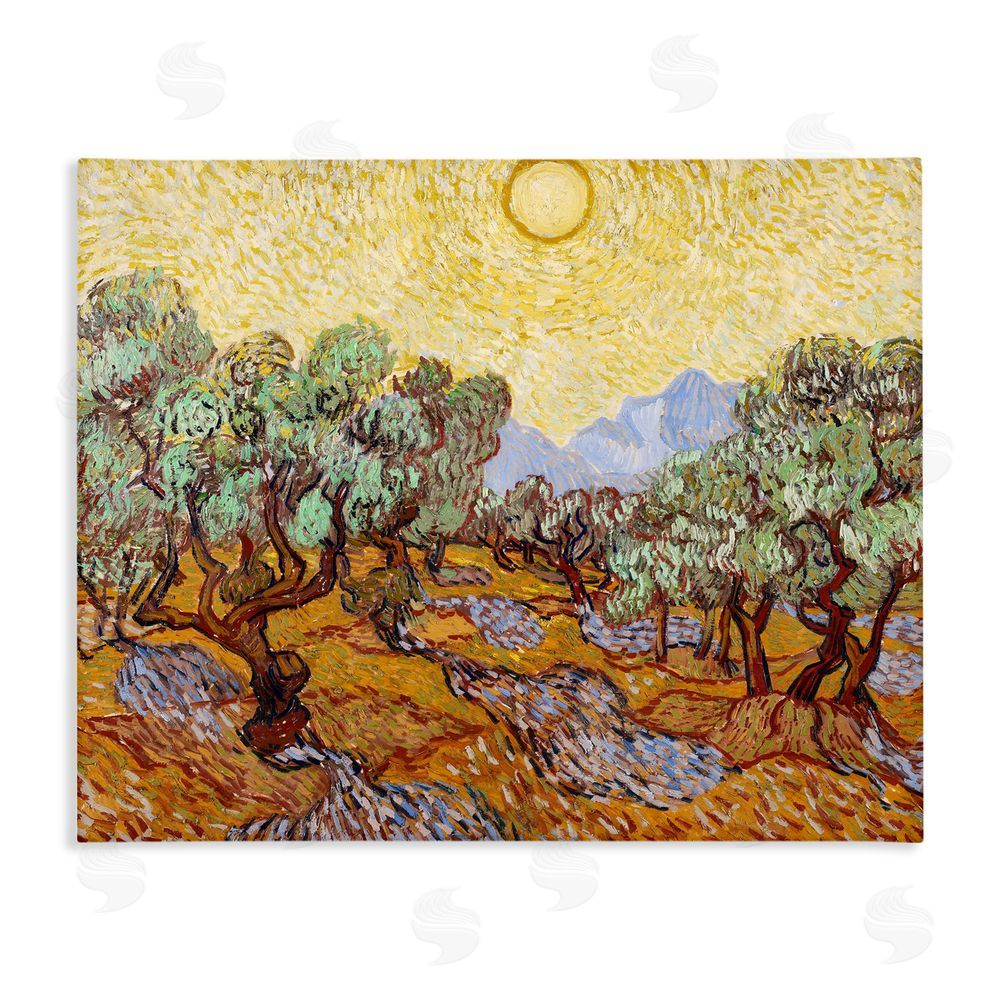 Vincent Van Gogh Olive Trees Van Gogh Stretched Canvas Wall Art Print