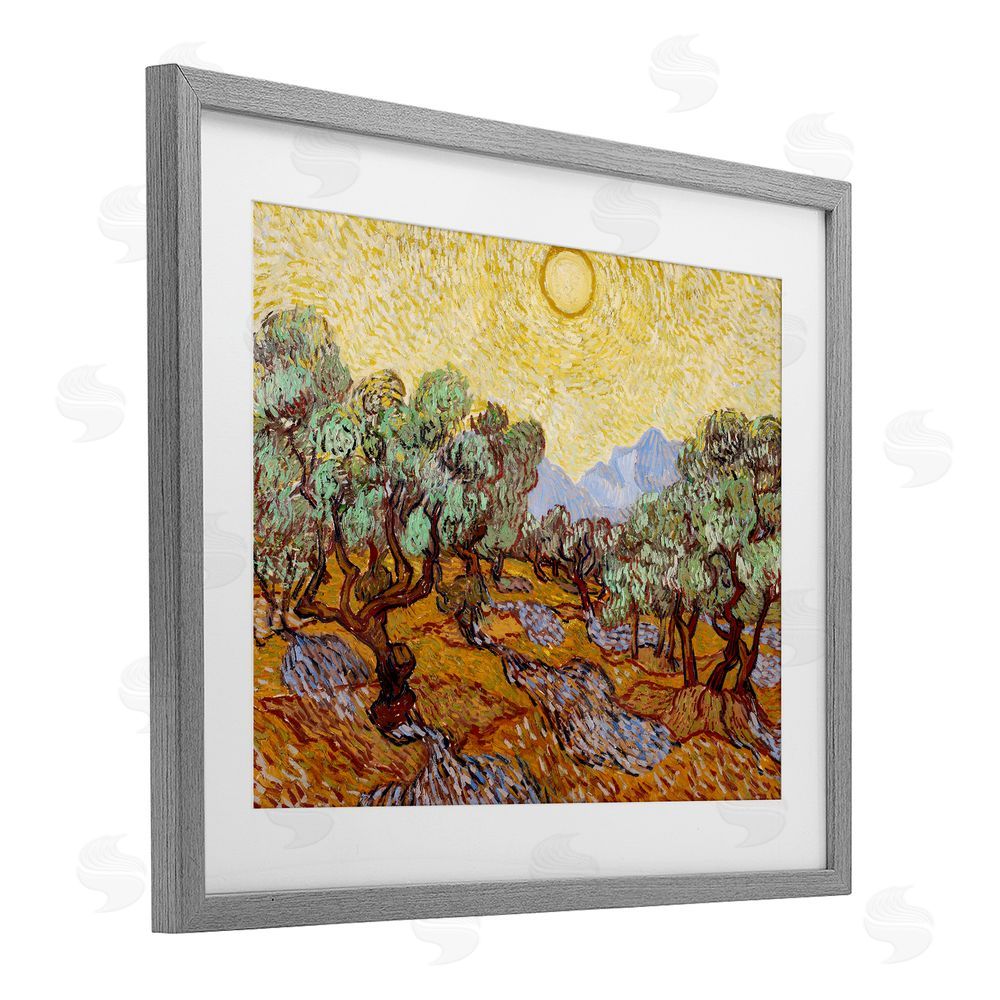 Vincent Van Gogh Olive Trees Van Gogh Gray Framed Print Under Glass Wall Art