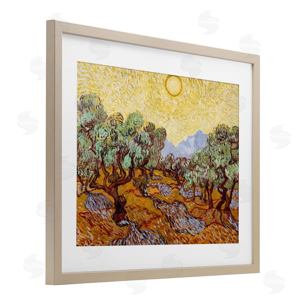 Vincent Van Gogh Olive Trees Van Gogh Birch Framed Print Under Glass Wall Art