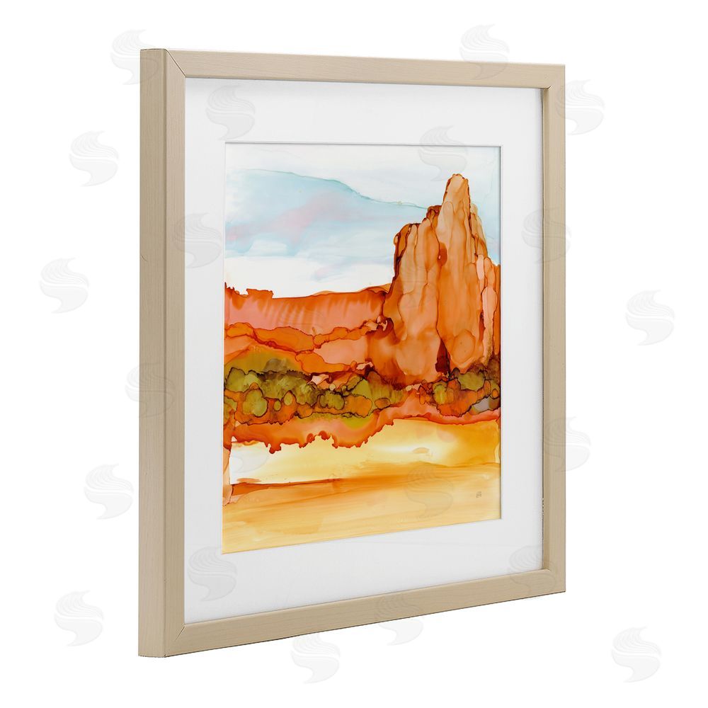 Chris Paschke Earthy Desertscape Illusion Birch Framed Print Under Glass Wall Art