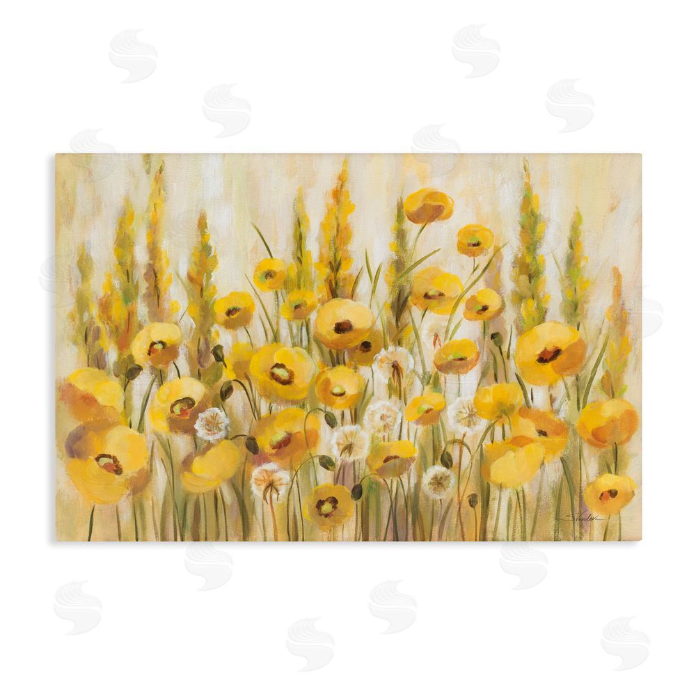 Silvia Vassileva Yellow Field of Poppies Stretched Canvas Wall Art Print