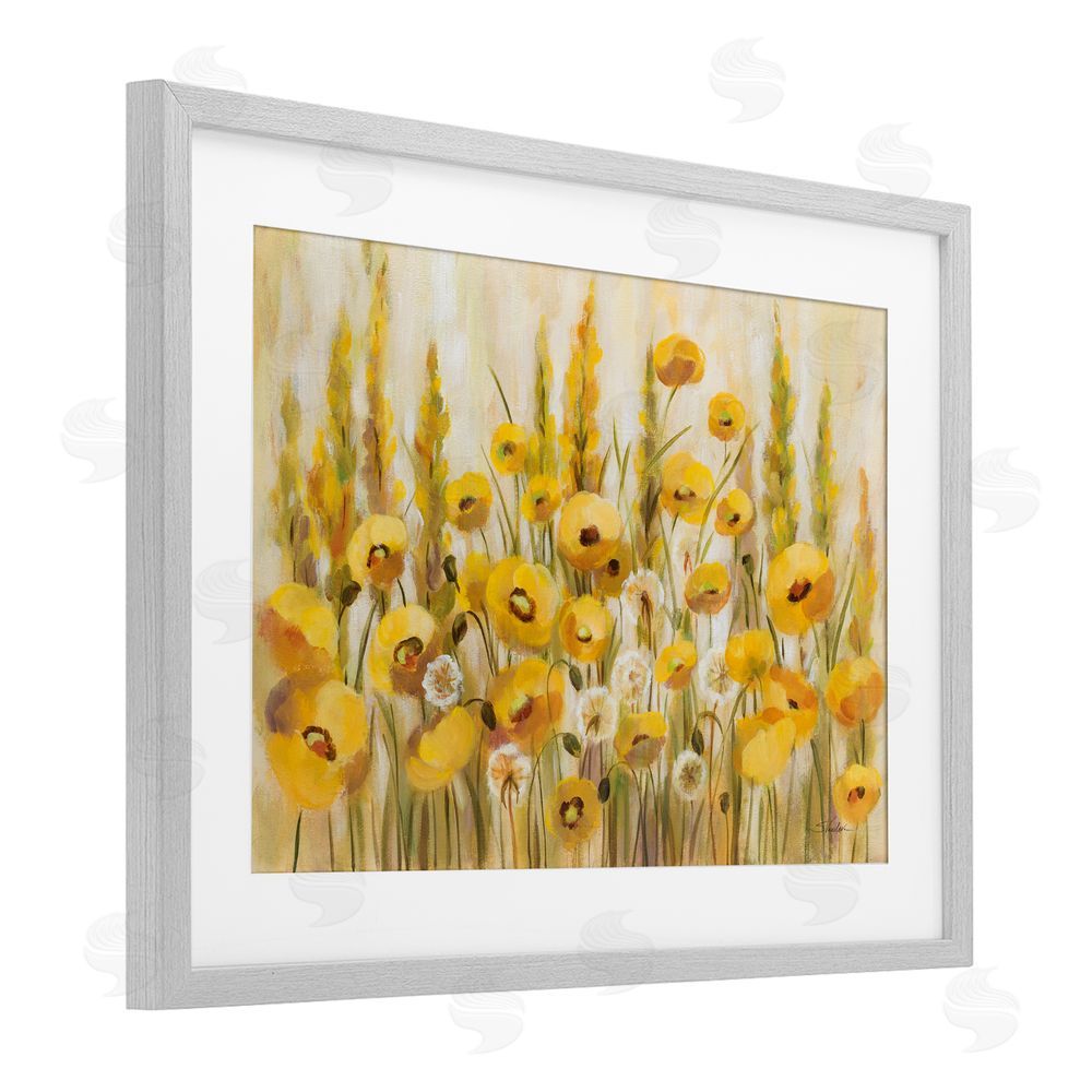 Silvia Vassileva Yellow Field of Poppies Gray Framed Print Under Glass Wall Art