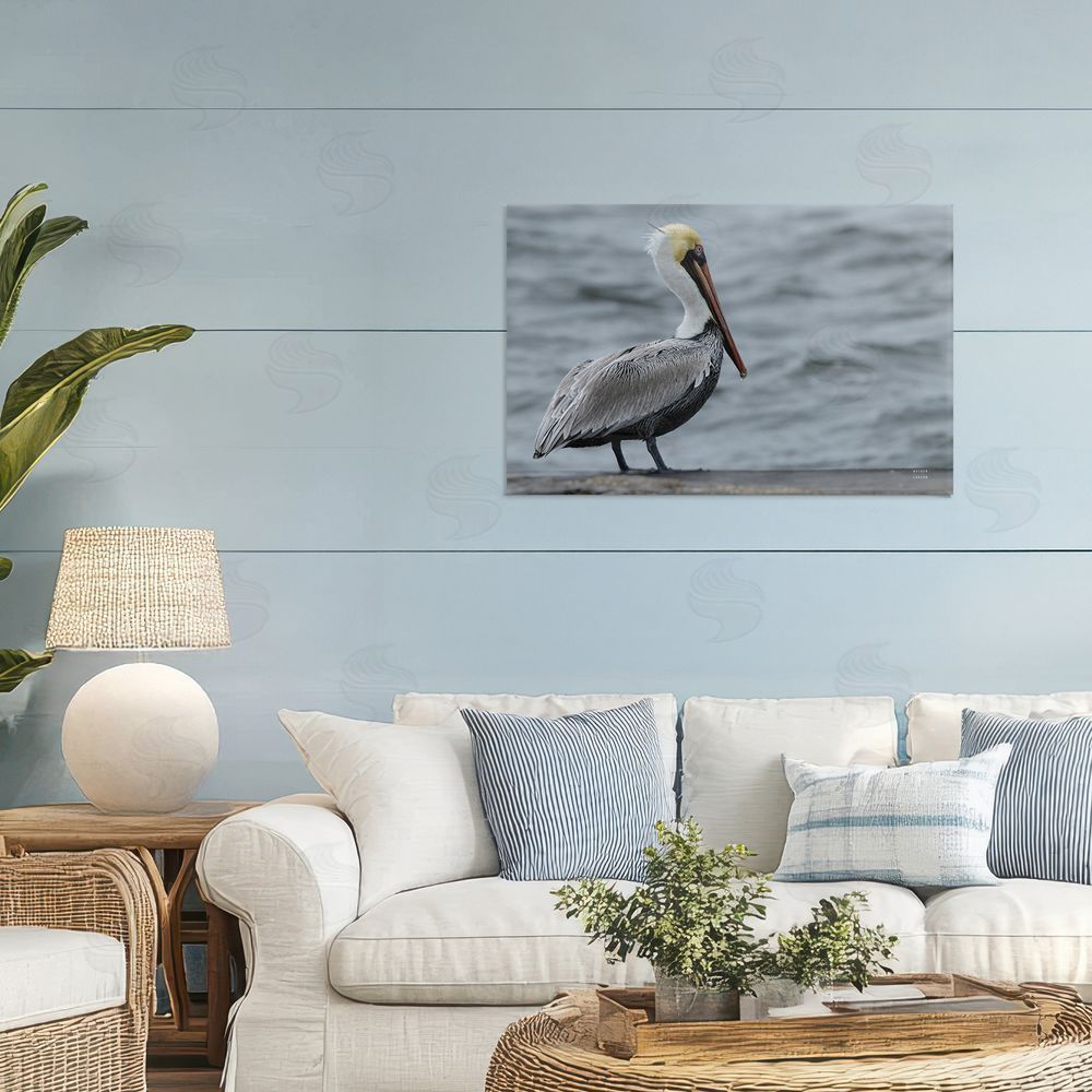 Nathan Larson Pelican Watch Photography Canvas Wall Art Print in Room