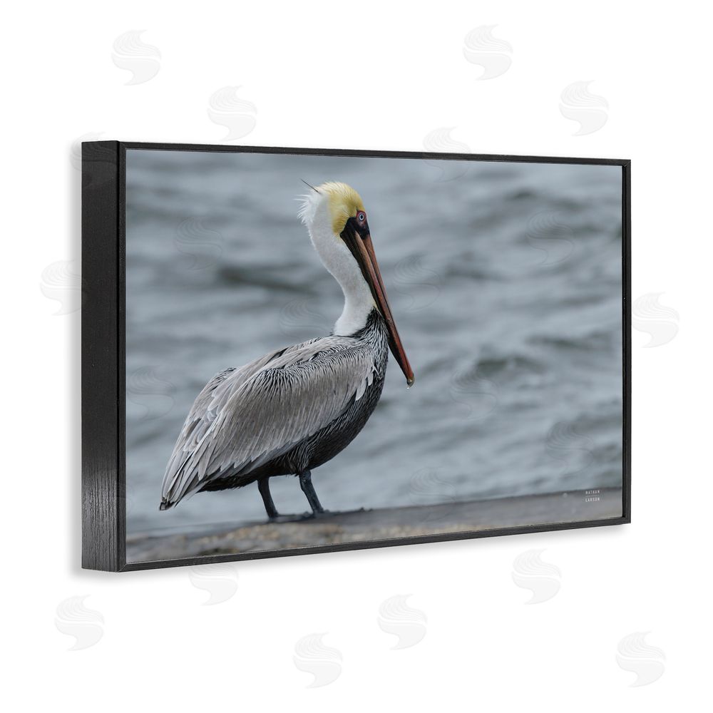 Nathan Larson Pelican Watch Photography Black Framed Giclee Wall Art Print