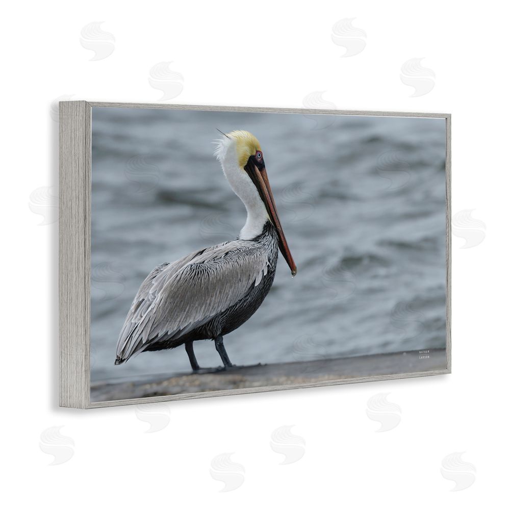 Nathan Larson Pelican Watch Photography Gray Framed Giclee Wall Art Print