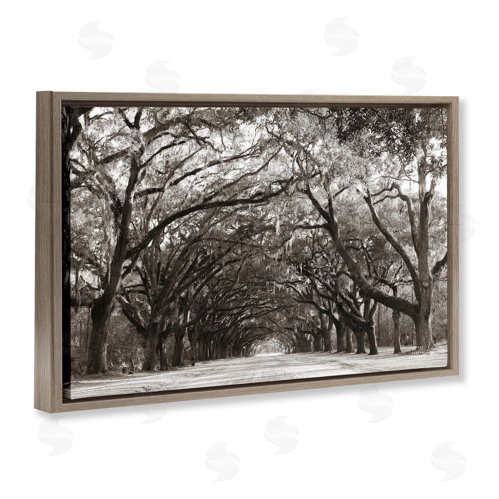 Nathan Larson Georgia Stroll Tree Tunnel Brown Floating Frame Canvas Wall Art Print