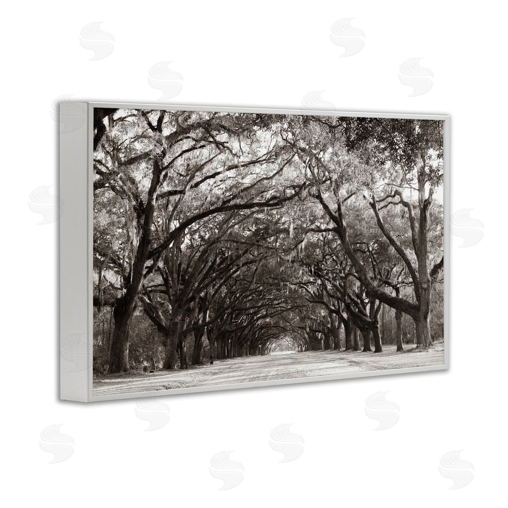 Nathan Larson Georgia Stroll Tree Tunnel White Framed Giclee Wall Art Print