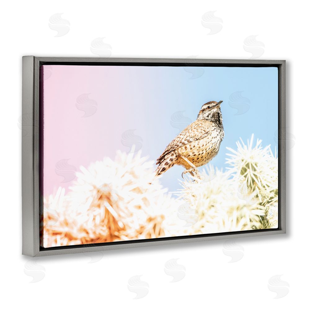Nathan Larson Desert Song Bird Gray Floating Frame Canvas Wall Art Print