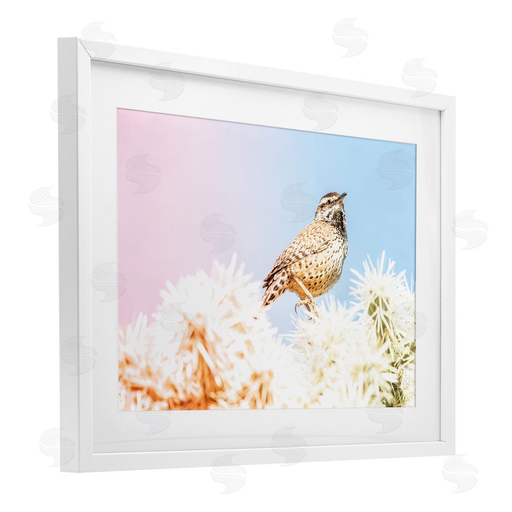 Nathan Larson Desert Song Bird White Framed Print Under Glass Wall Art