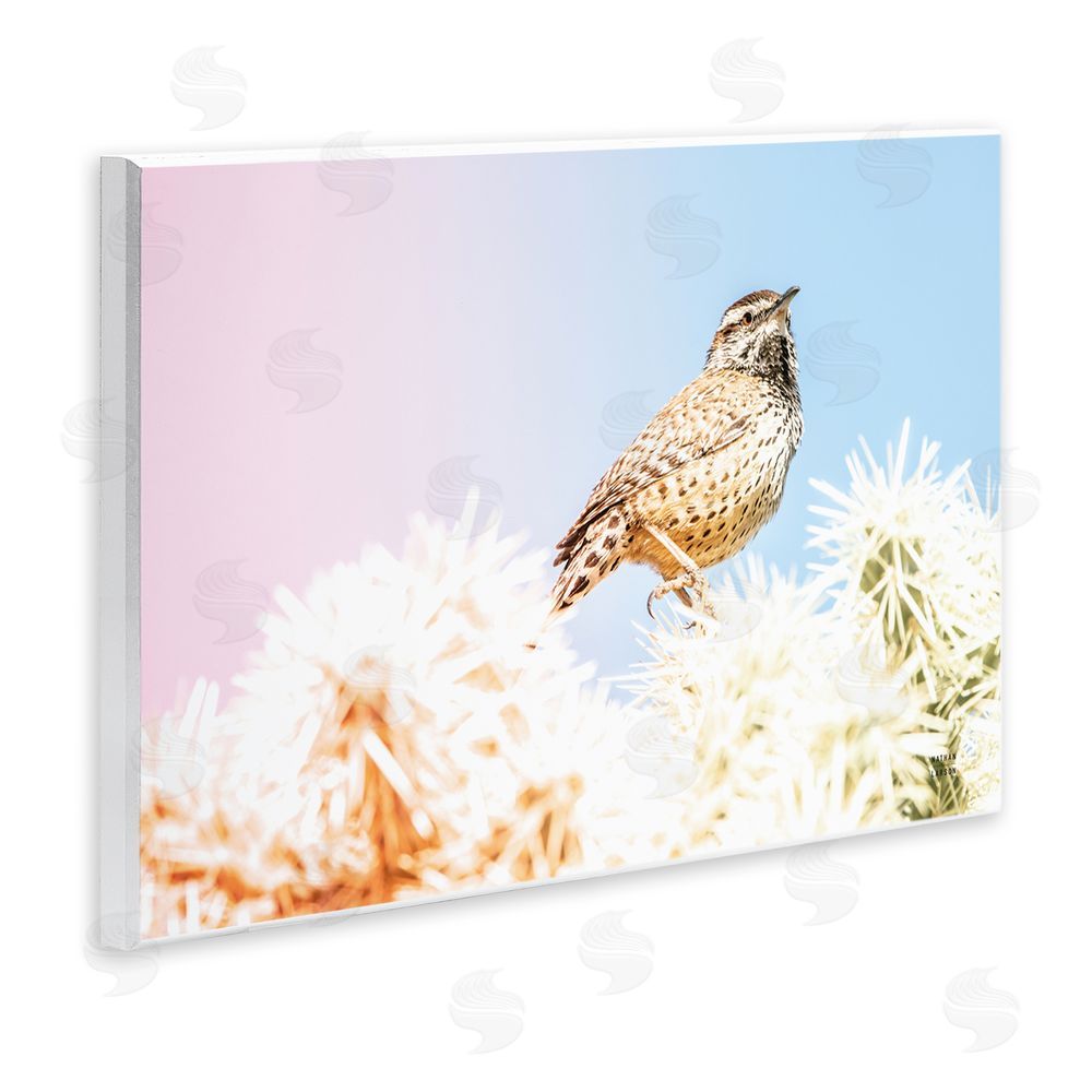 Nathan Larson Desert Song Bird Wall Plaque Art Print
