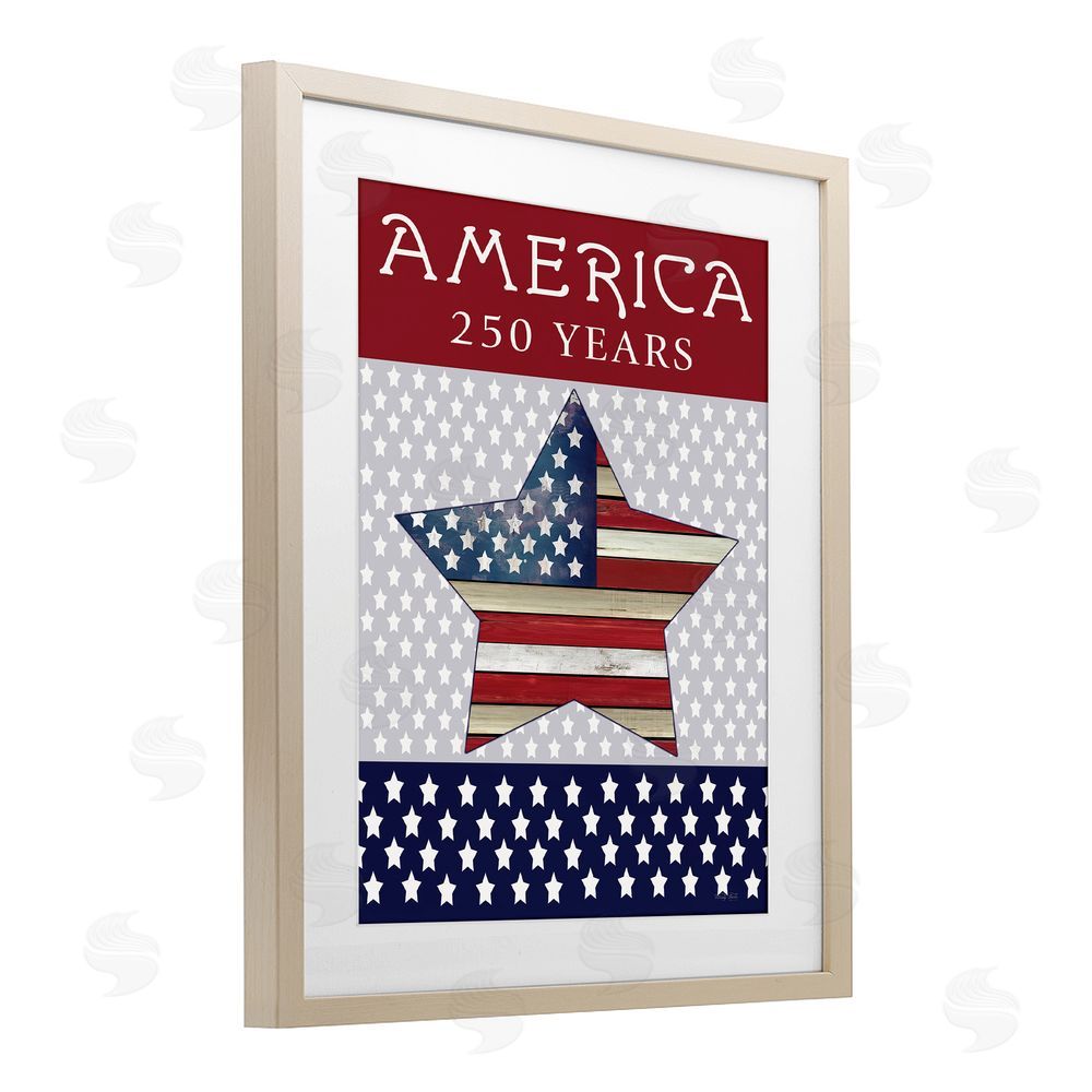 Cindy Jacobs Historic America 250 Years Birch Framed Print Under Glass Wall Art
