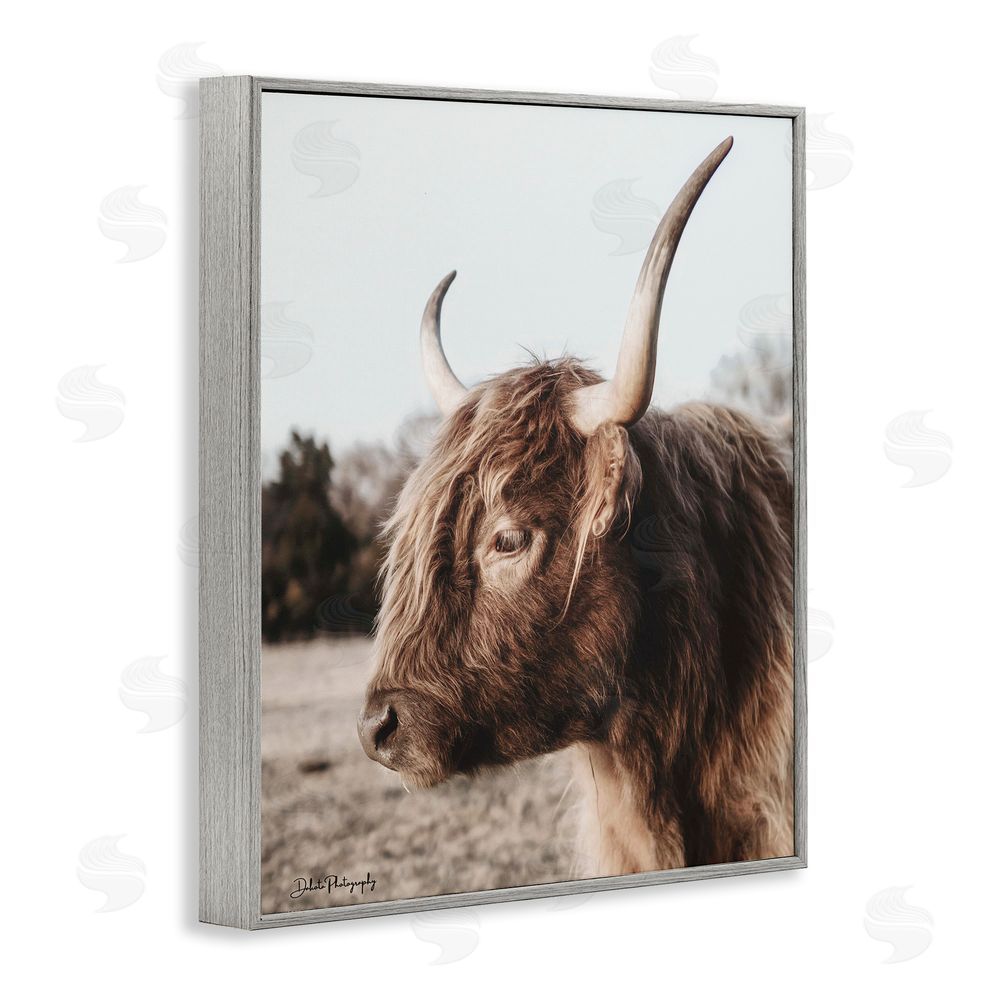 Dakota Diener Horned Cattle Peering Gray Framed Giclee Wall Art Print
