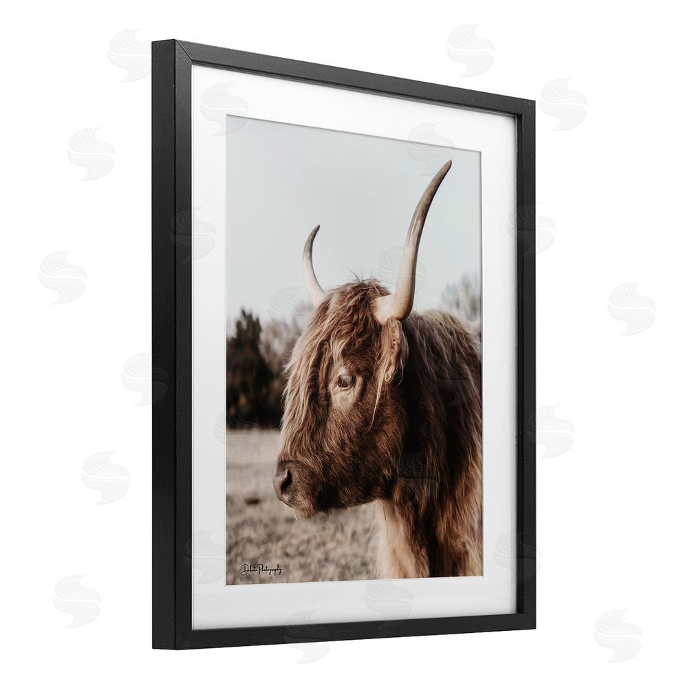 Dakota Diener Horned Cattle Peering Black Framed Print Under Glass Wall Art