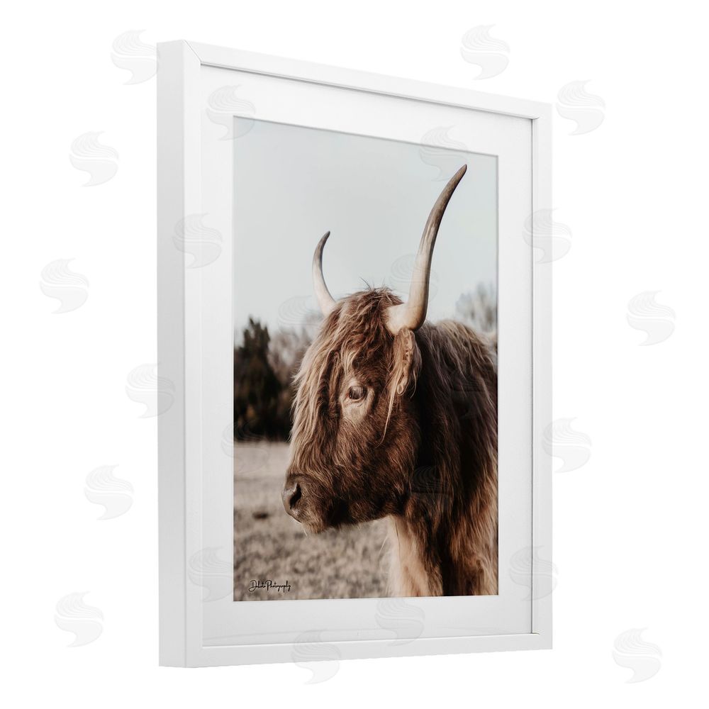 Dakota Diener Horned Cattle Peering White Framed Print Under Glass Wall Art