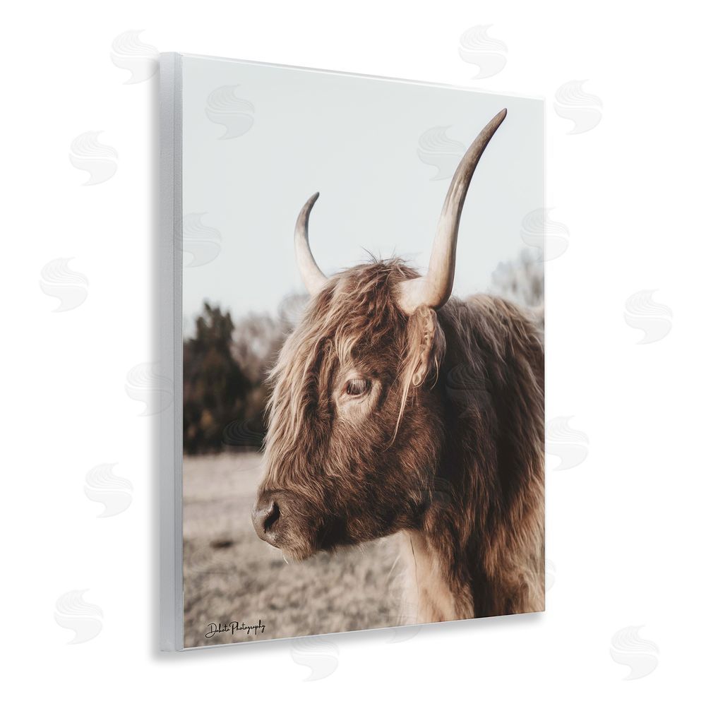 Dakota Diener Horned Cattle Peering Wall Plaque Art Print