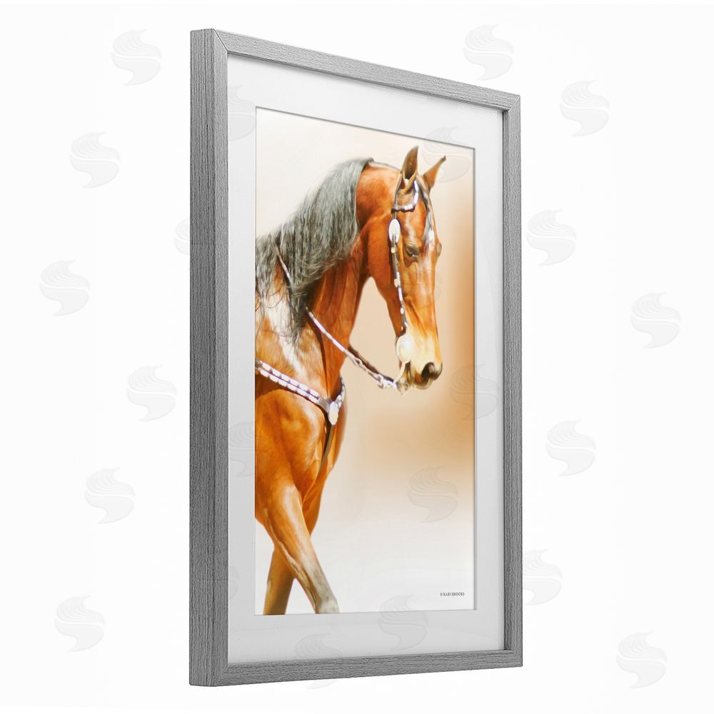 Kari Brooks Brown Majestic Horse Gray Framed Print Under Glass Wall Art
