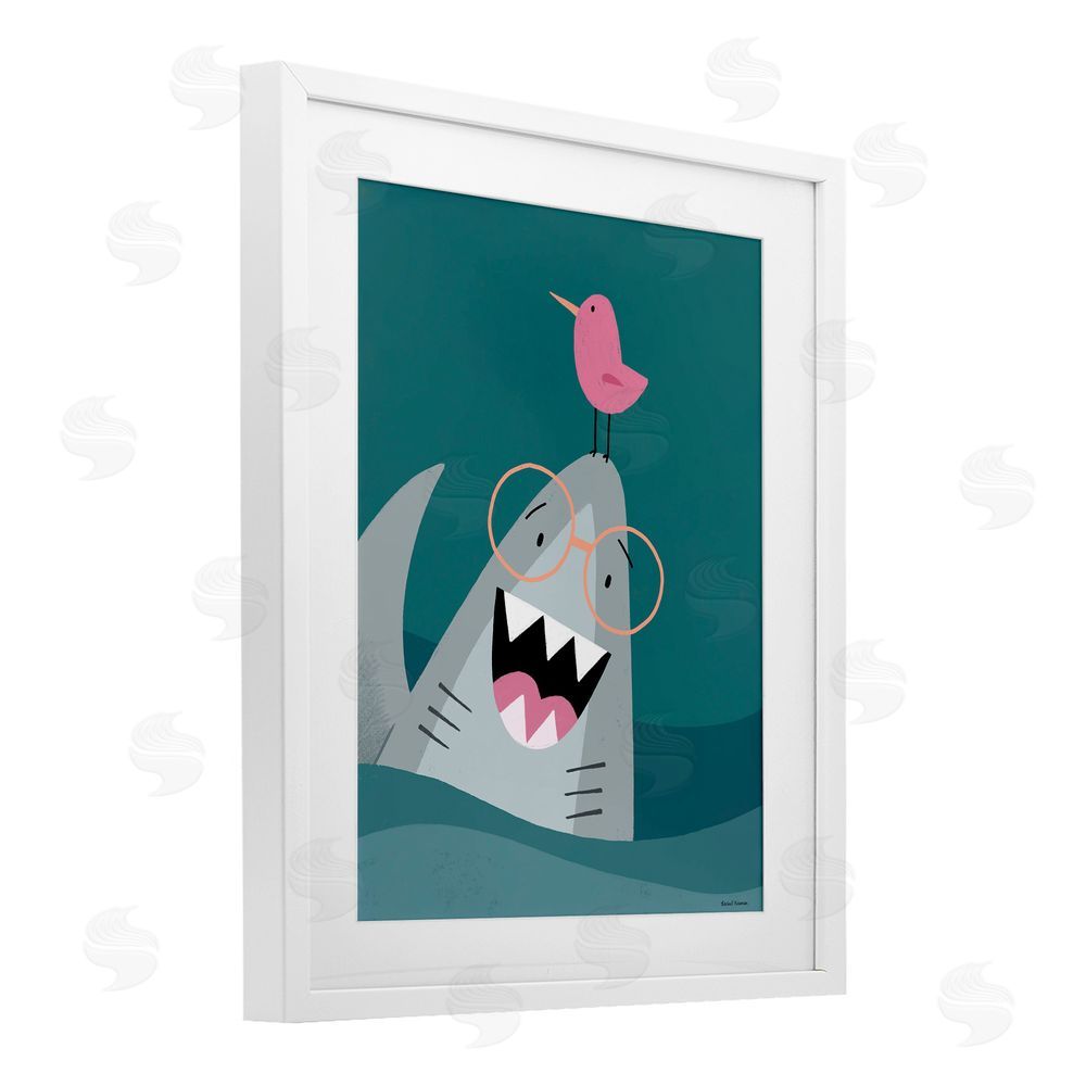Rachel Nieman The Friendliest Shark White Framed Print Under Glass Wall Art