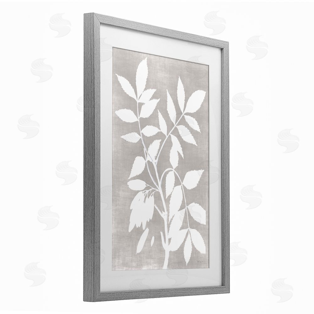 Stellar Design Studio Minimal Foliage Impression Gray Framed Print Under Glass Wall Art