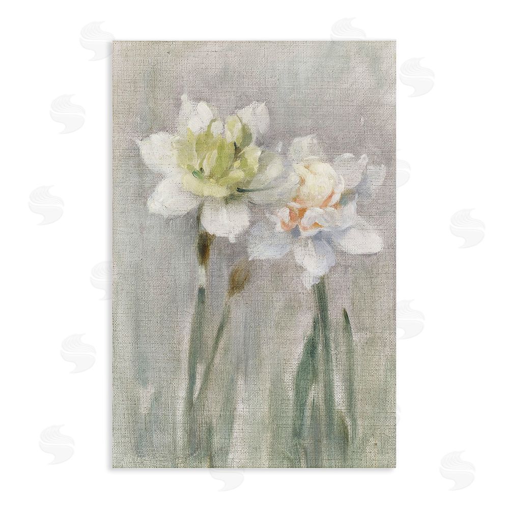 Stellar Design Studio Twin White Daffodils Stretched Canvas Wall Art Print