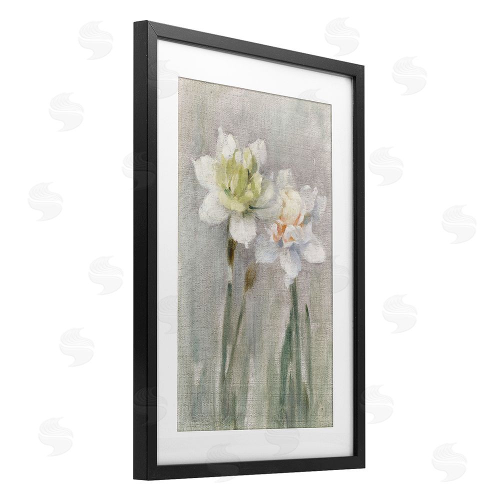 Stellar Design Studio Twin White Daffodils Black Framed Print Under Glass Wall Art