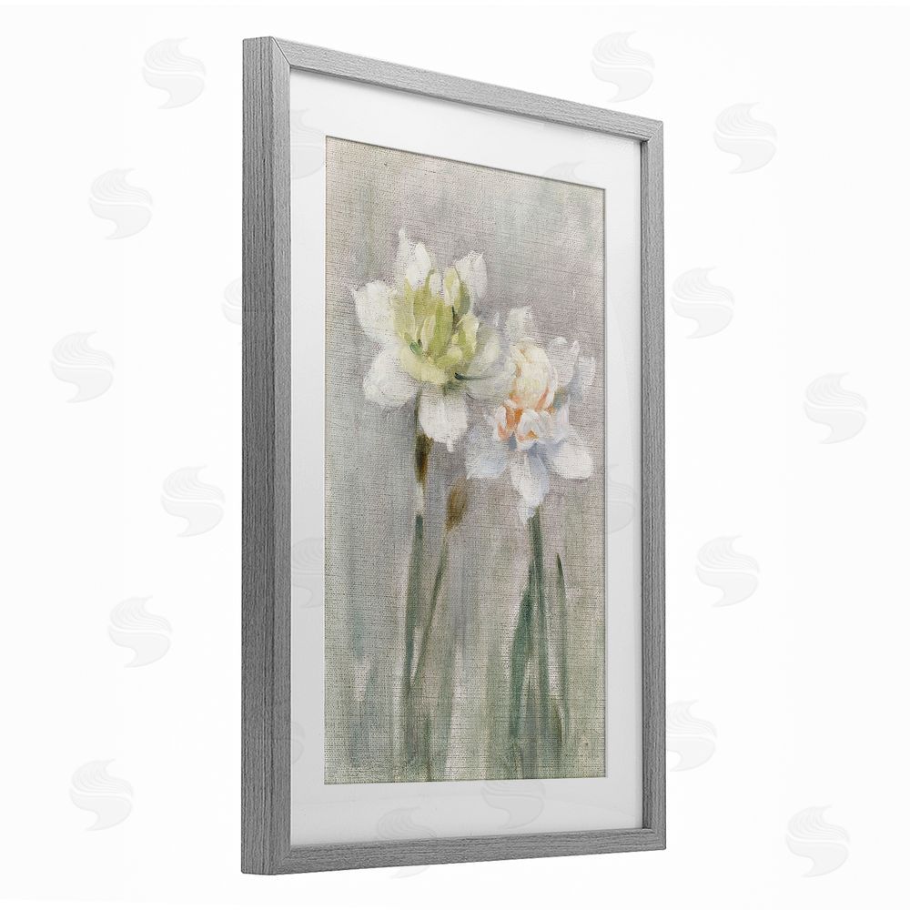 Stellar Design Studio Twin White Daffodils Gray Framed Print Under Glass Wall Art