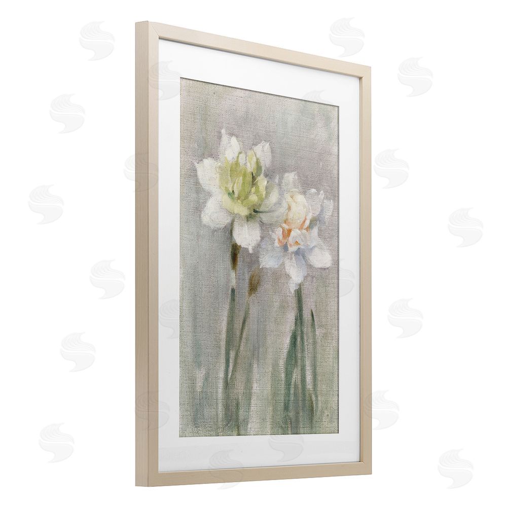 Stellar Design Studio Twin White Daffodils Birch Framed Print Under Glass Wall Art
