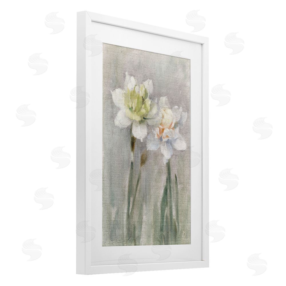 Stellar Design Studio Twin White Daffodils White Framed Print Under Glass Wall Art