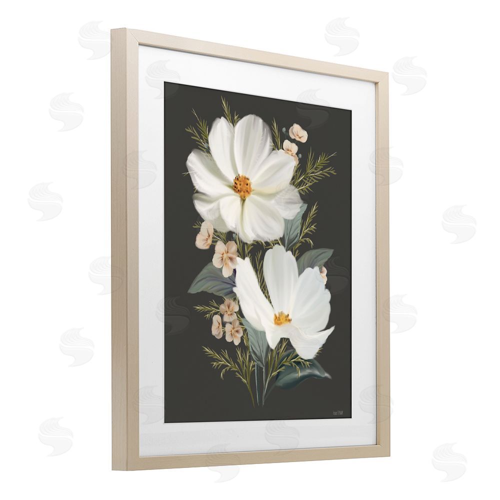 House Fenway Old Lace Cosmos Birch Framed Print Under Glass Wall Art