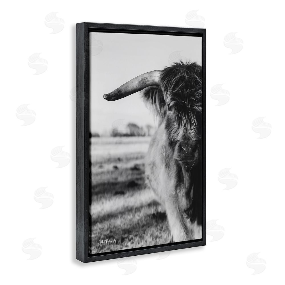 Dakota Diener Baby Cattle in Monochrome Black Floating Frame Canvas Wall Art Print