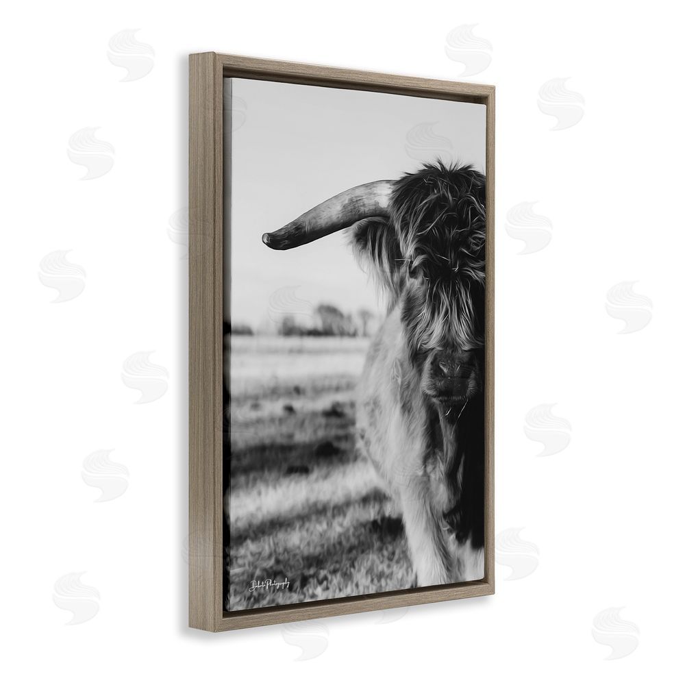 Dakota Diener Baby Cattle in Monochrome Brown Floating Frame Canvas Wall Art Print