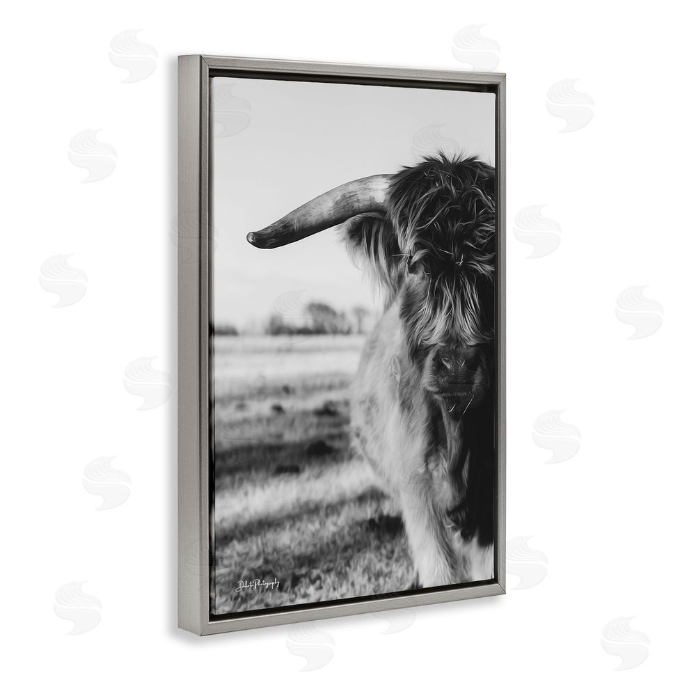 Dakota Diener Baby Cattle in Monochrome Gray Floating Frame Canvas Wall Art Print