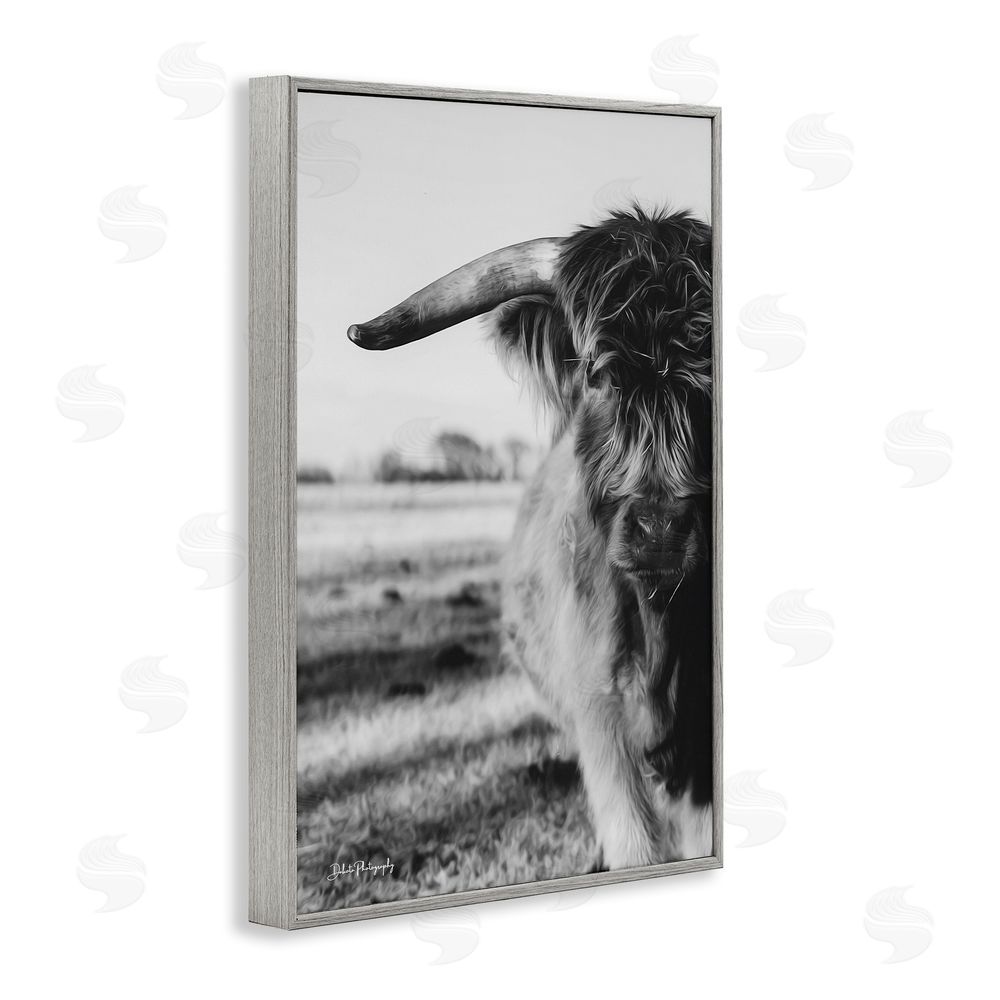 Dakota Diener Baby Cattle in Monochrome Gray Framed Giclee Wall Art Print