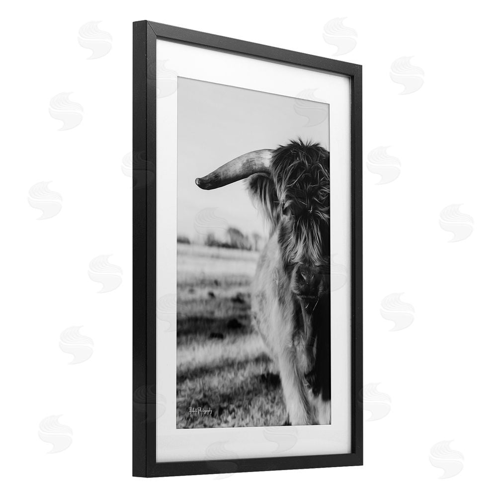 Dakota Diener Baby Cattle in Monochrome Black Framed Print Under Glass Wall Art