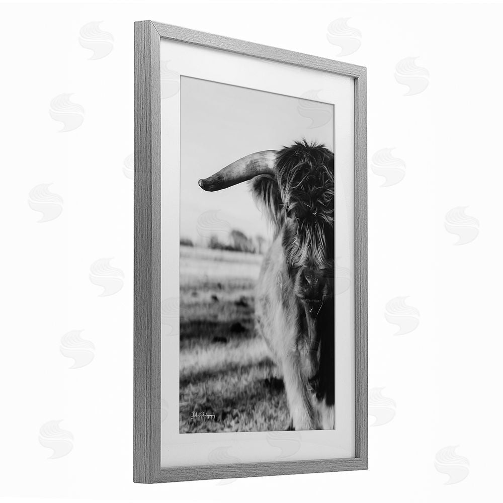 Dakota Diener Baby Cattle in Monochrome Gray Framed Print Under Glass Wall Art