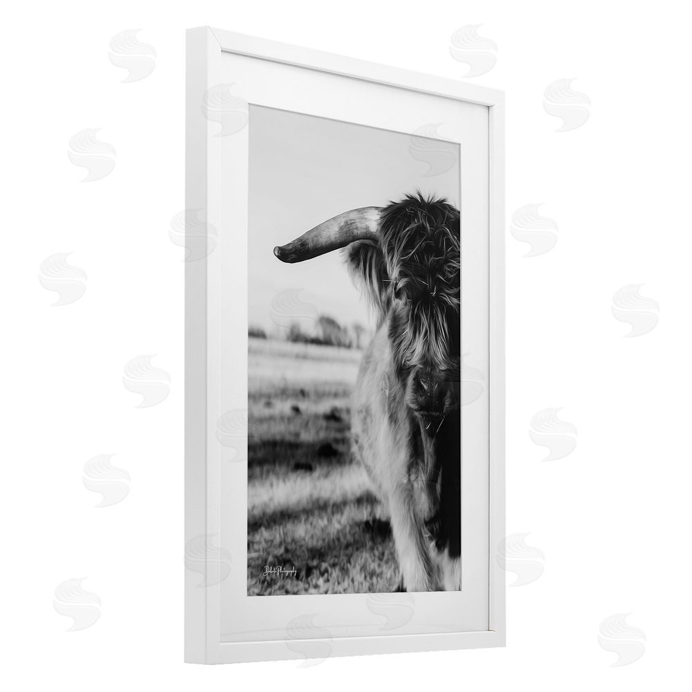 Dakota Diener Baby Cattle in Monochrome White Framed Print Under Glass Wall Art