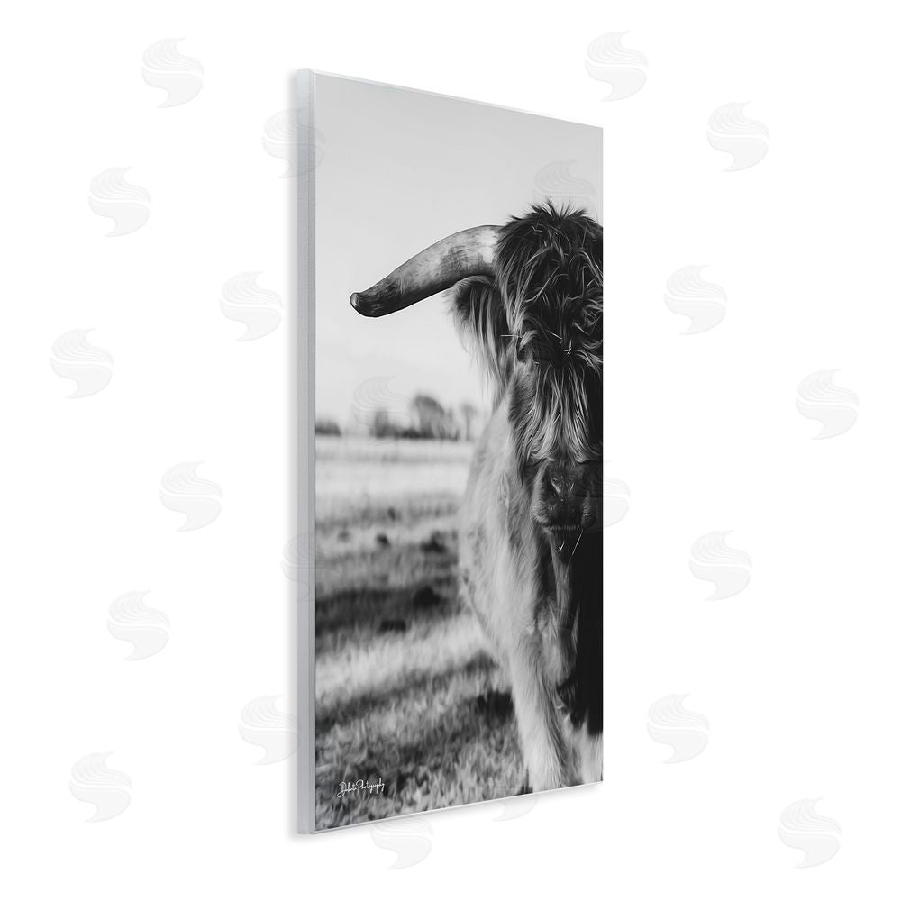 Dakota Diener Baby Cattle in Monochrome Wall Plaque Art Print