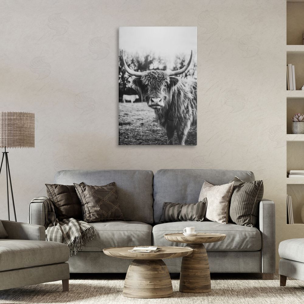 Dakota Diener Peering Highland Cattle Canvas Wall Art Print in Room