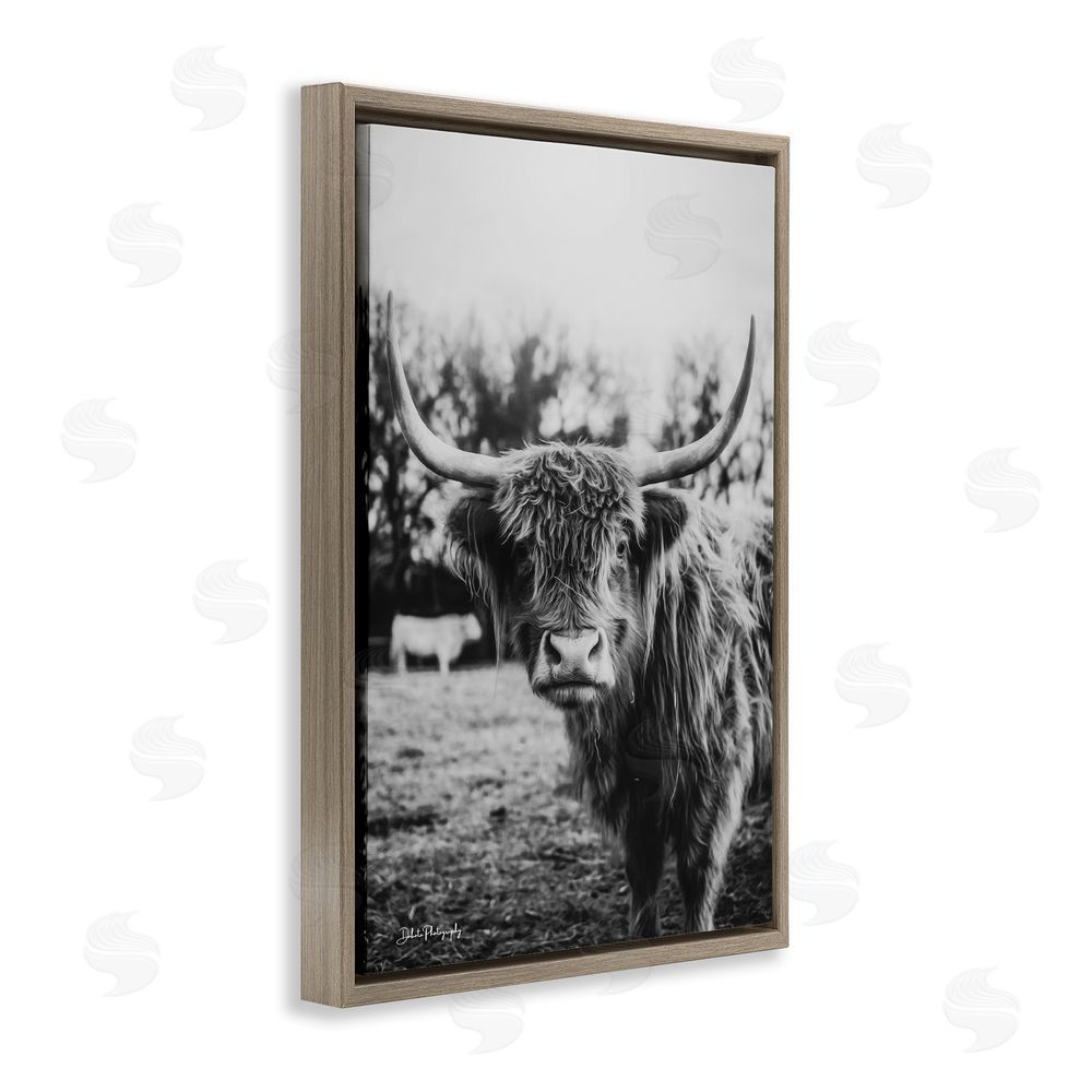 Dakota Diener Peering Highland Cattle Brown Floating Frame Canvas Wall Art Print