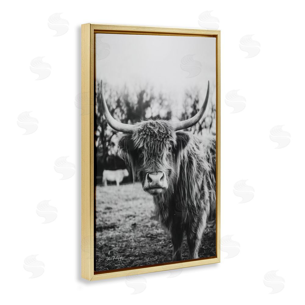 Dakota Diener Peering Highland Cattle Gold Floating Frame Canvas Wall Art Print