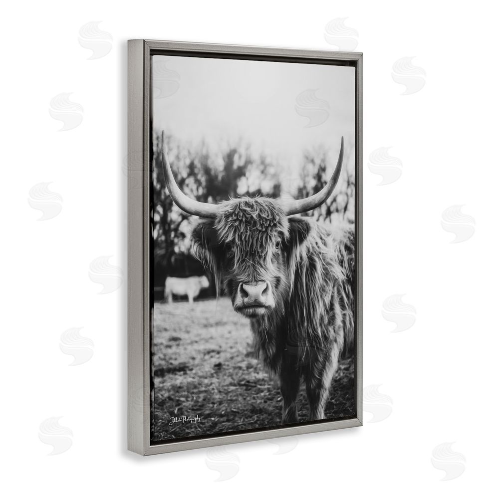 Dakota Diener Peering Highland Cattle Gray Floating Frame Canvas Wall Art Print